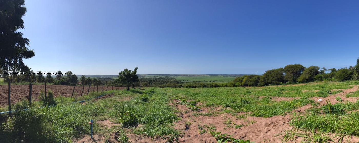 Fazenda à venda com 3 quartos, 13m² - Foto 32