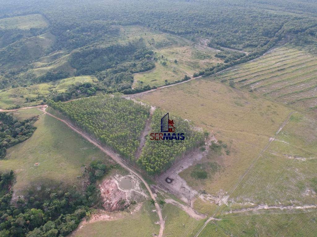 Fazenda à venda com 3 quartos, 7214625M2 - Foto 20