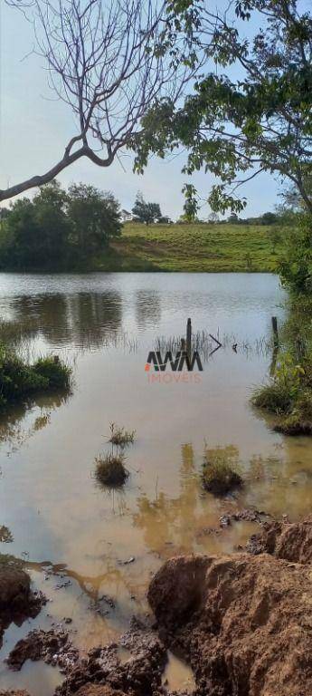 Fazenda-Sítio-Chácara, 213 hectares - Foto 2