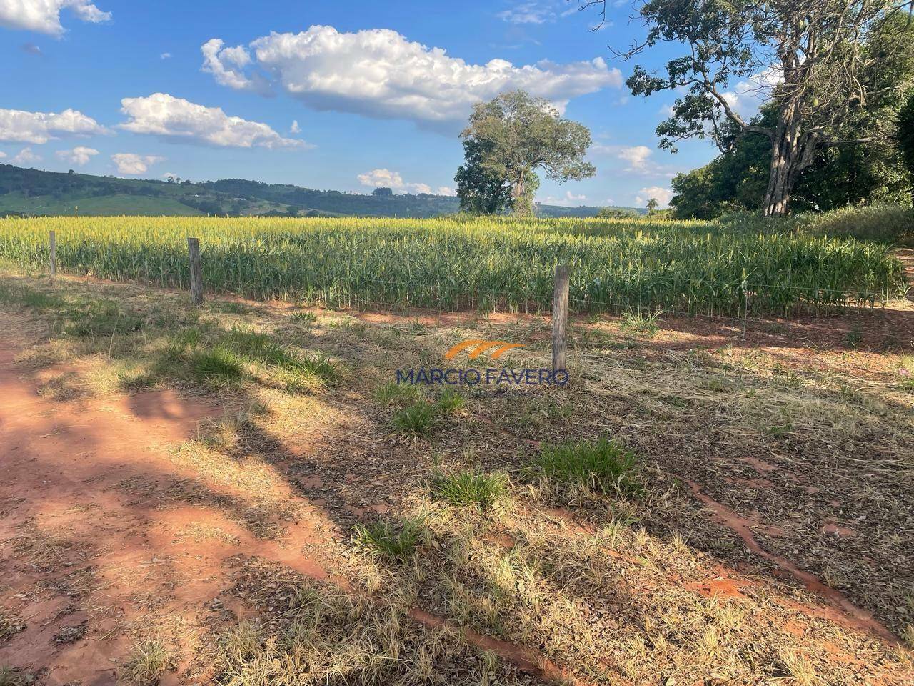 Fazenda à venda, 2274800M2 - Foto 23