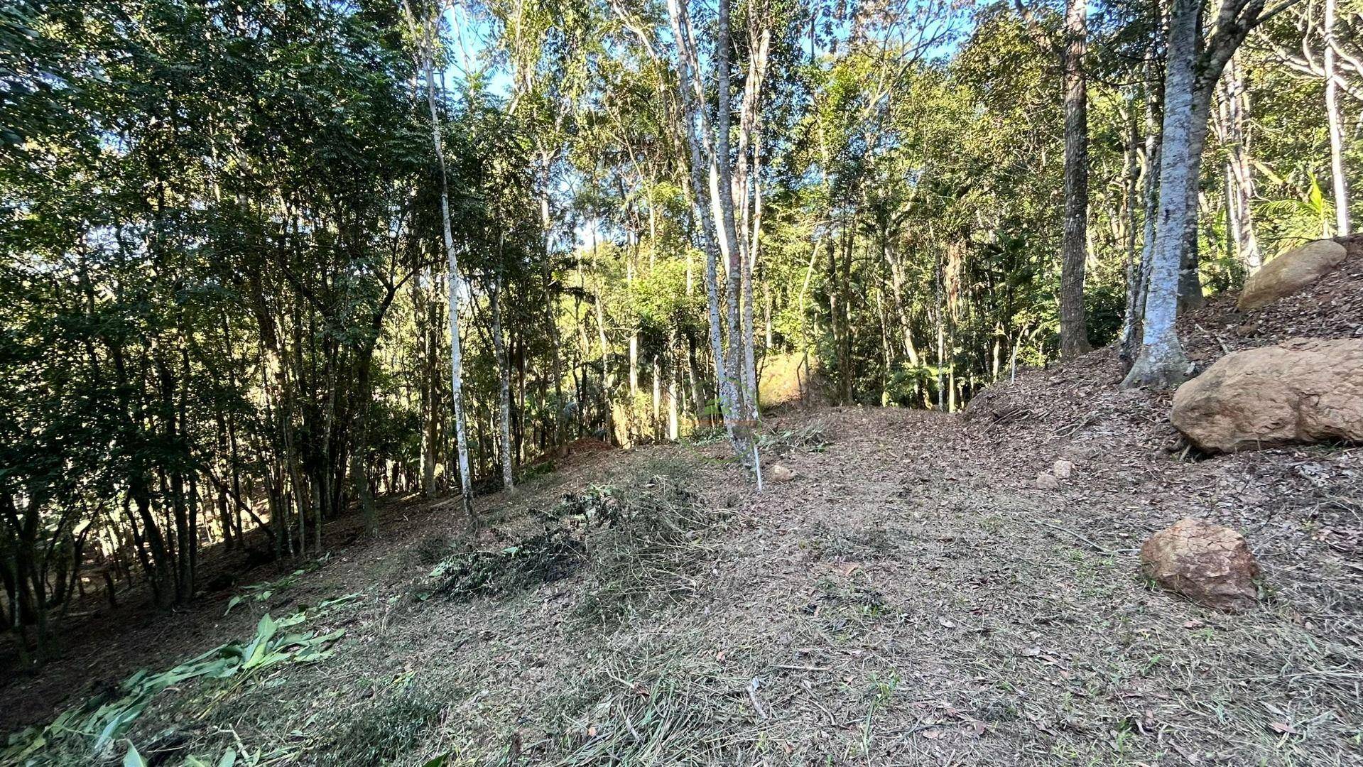 Terreno, 10000 m² - Foto 5