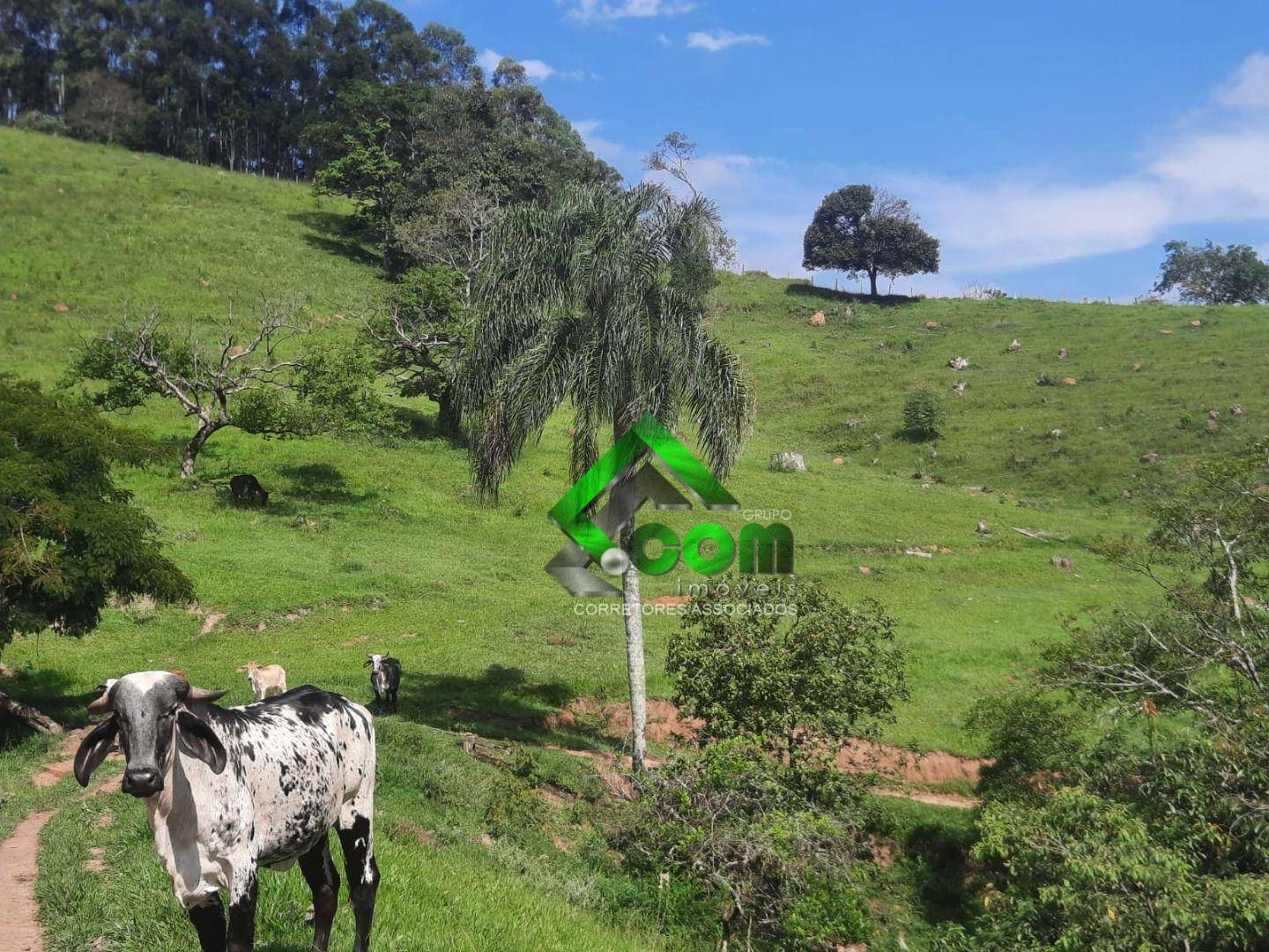 Terreno à venda, 20000M2 - Foto 7