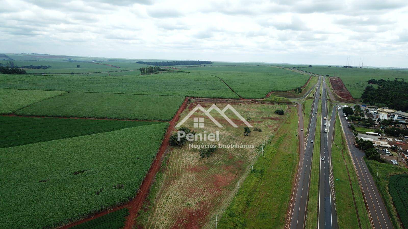 Terreno, 7 hectares - Foto 7