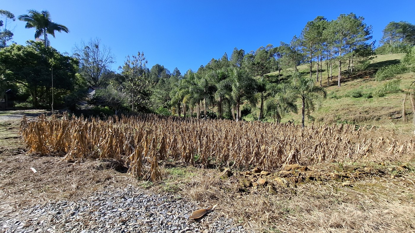 Sítio à venda com 3 quartos, 40000m² - Foto 25