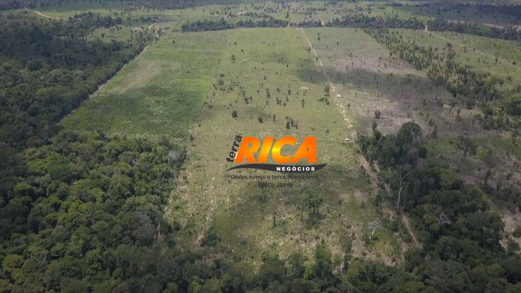 Sítio, 40 hectares - Foto 6