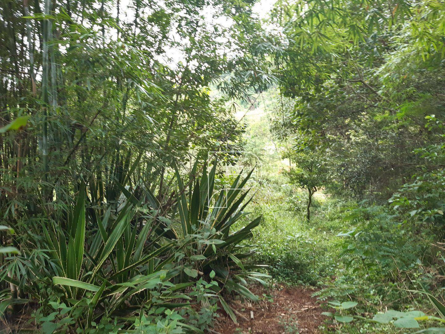 Terreno à venda, 4138M2 - Foto 10