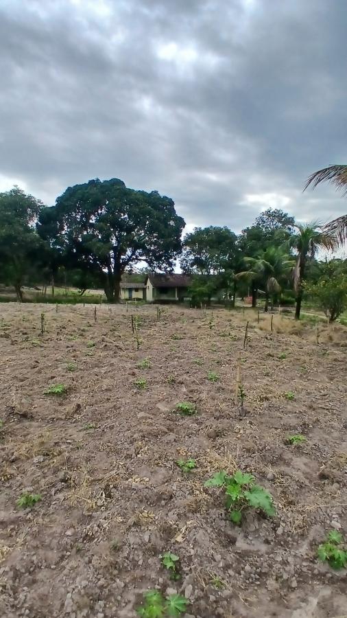 Fazenda à venda com 2 quartos, 31000m² - Foto 6