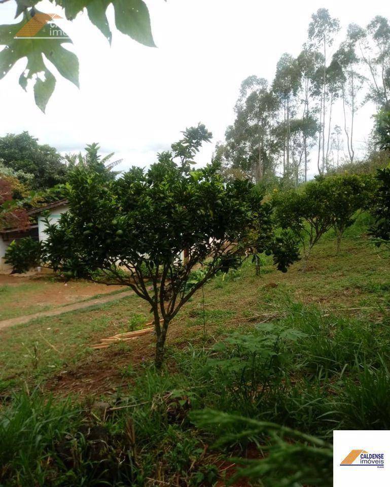 Terreno, 5650 m² - Foto 5