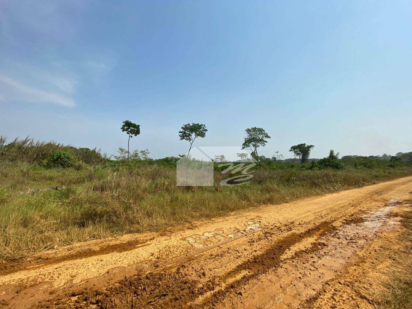 Chácara à venda com 1 quarto, 97283M2 - Foto 8