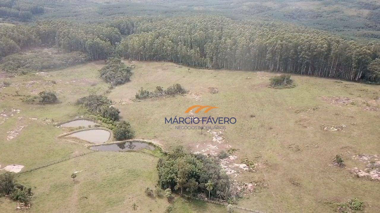 Fazenda à venda, 1065000M2 - Foto 33