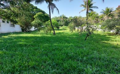Chácara à venda com 1 quarto, 1800m² - Foto 7