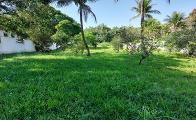 Fazenda à venda com 1 quarto, 1800m² - Foto 7