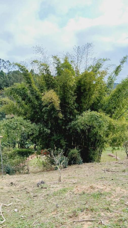 Fazenda à venda com 2 quartos, 5280m² - Foto 10