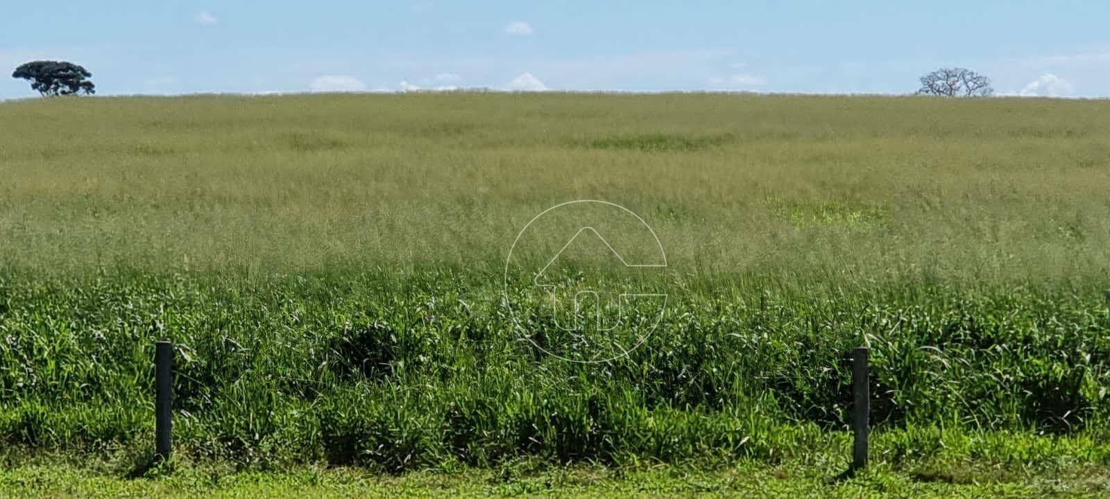 Fazenda à venda, 70000000M2 - Foto 3