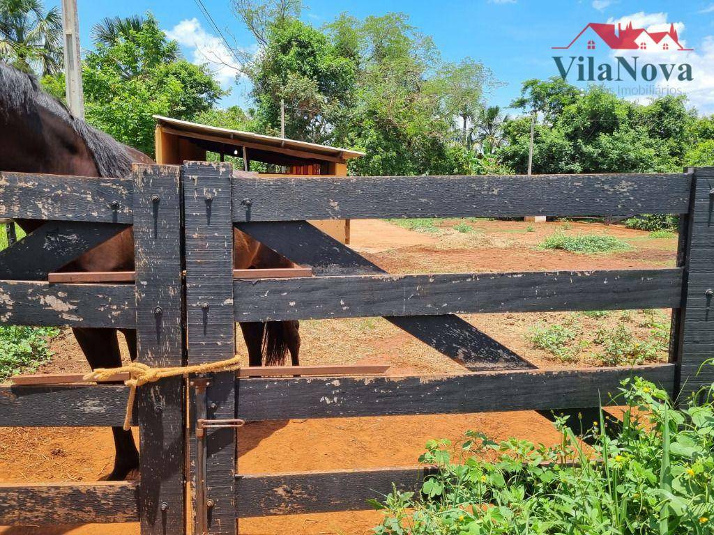 Sítio à venda com 4 quartos, 48000M2 - Foto 10