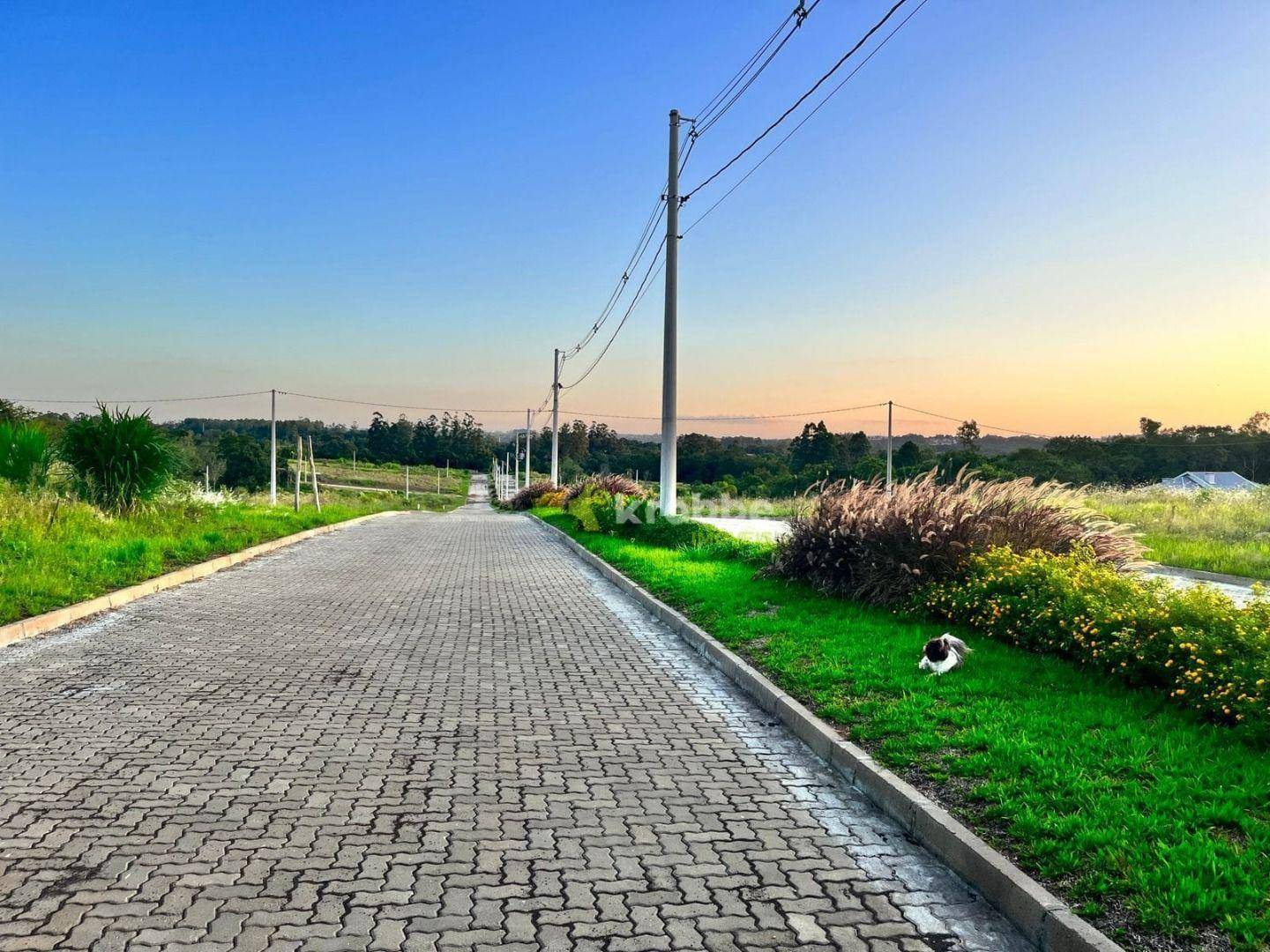 Loteamento e Condomínio, 539 m² - Foto 3