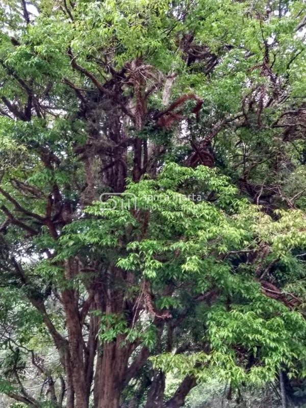 Fazenda à venda, 24m² - Foto 14