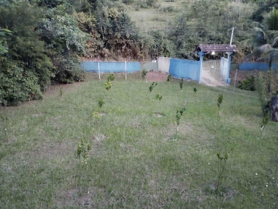 Fazenda à venda com 2 quartos, 10000m² - Foto 6