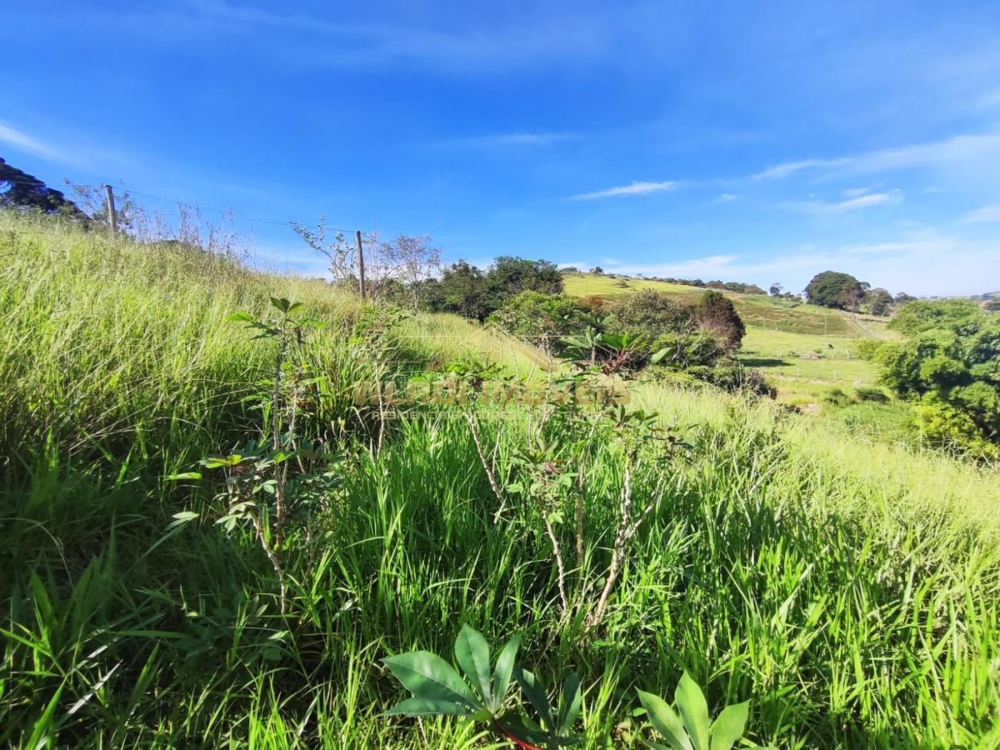 Fazenda à venda, 9000m² - Foto 8