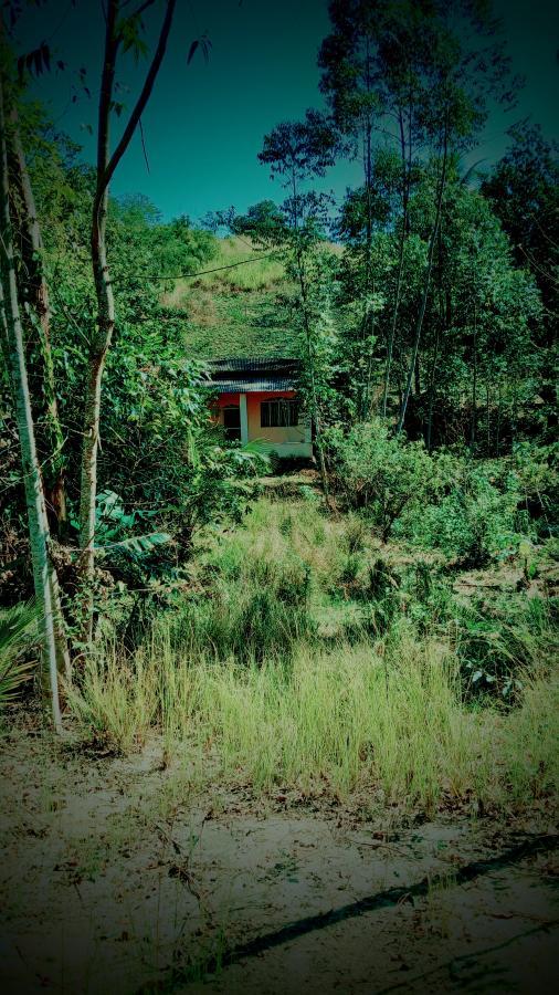 Fazenda à venda com 1 quarto, 10000m² - Foto 11