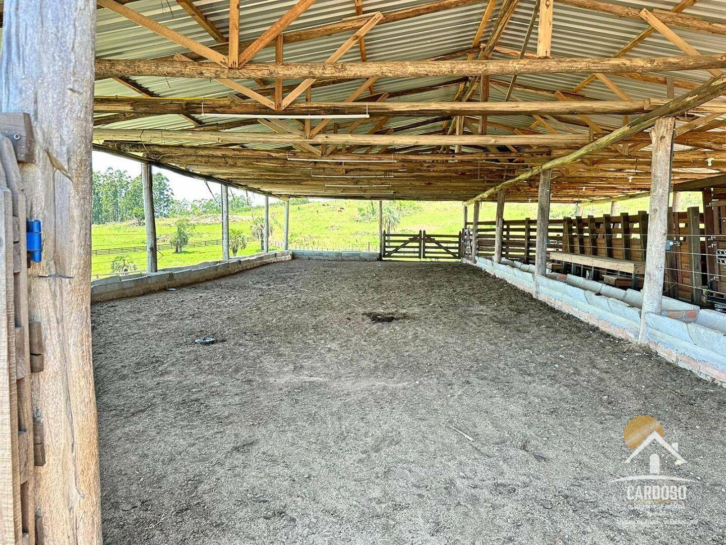 Fazenda à venda com 3 quartos, 1065000M2 - Foto 4