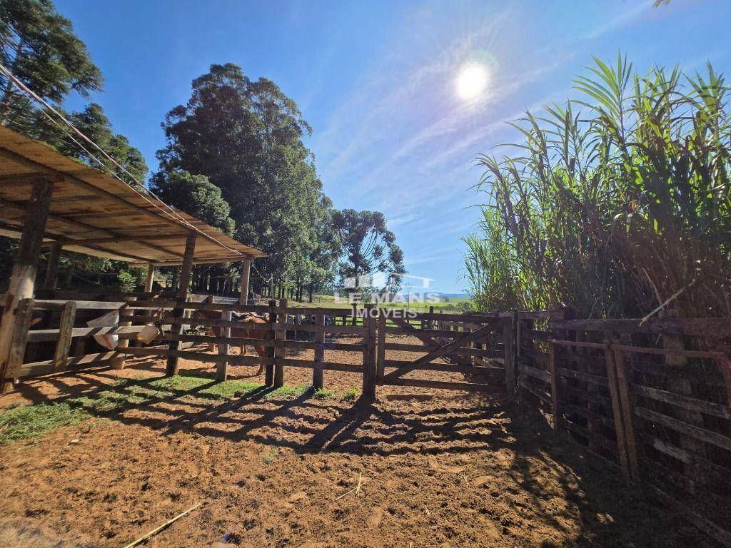 Fazenda à venda com 2 quartos, 400m² - Foto 27