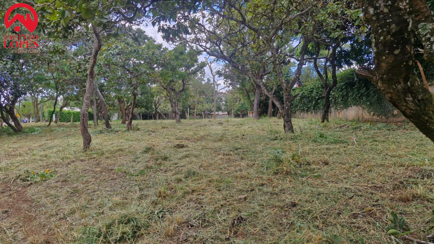 Terreno, 2510 m² - Foto 3