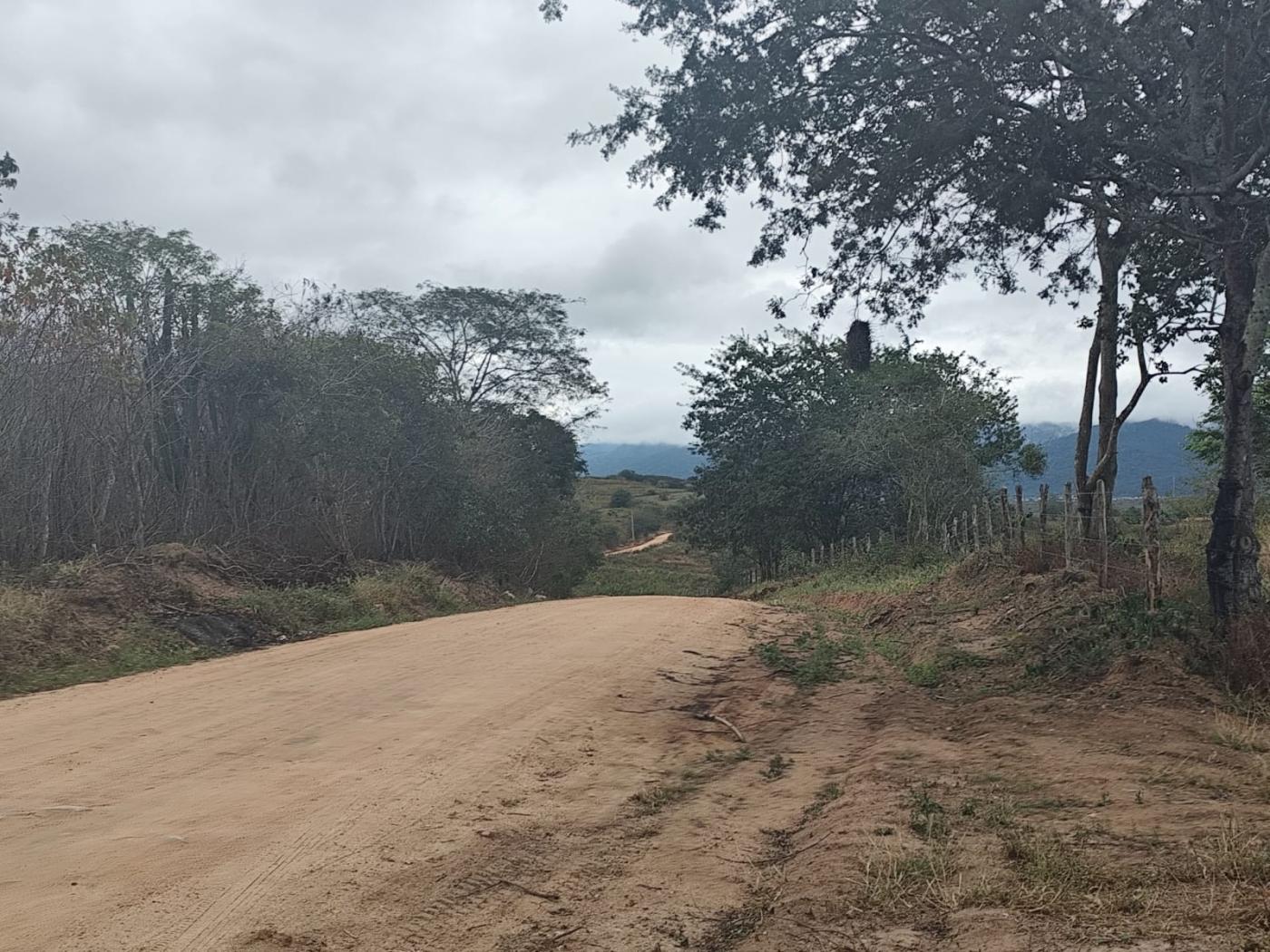 Terreno à venda, 2500m² - Foto 7