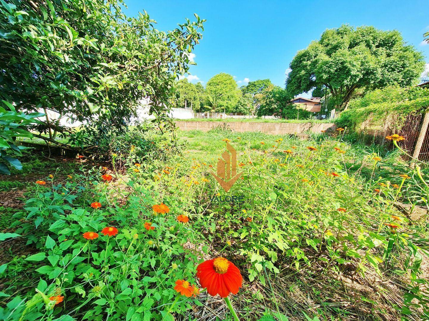 Terreno, 1287 m² - Foto 1