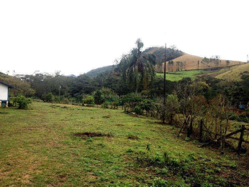 Fazenda à venda com 4 quartos, 240m² - Foto 9