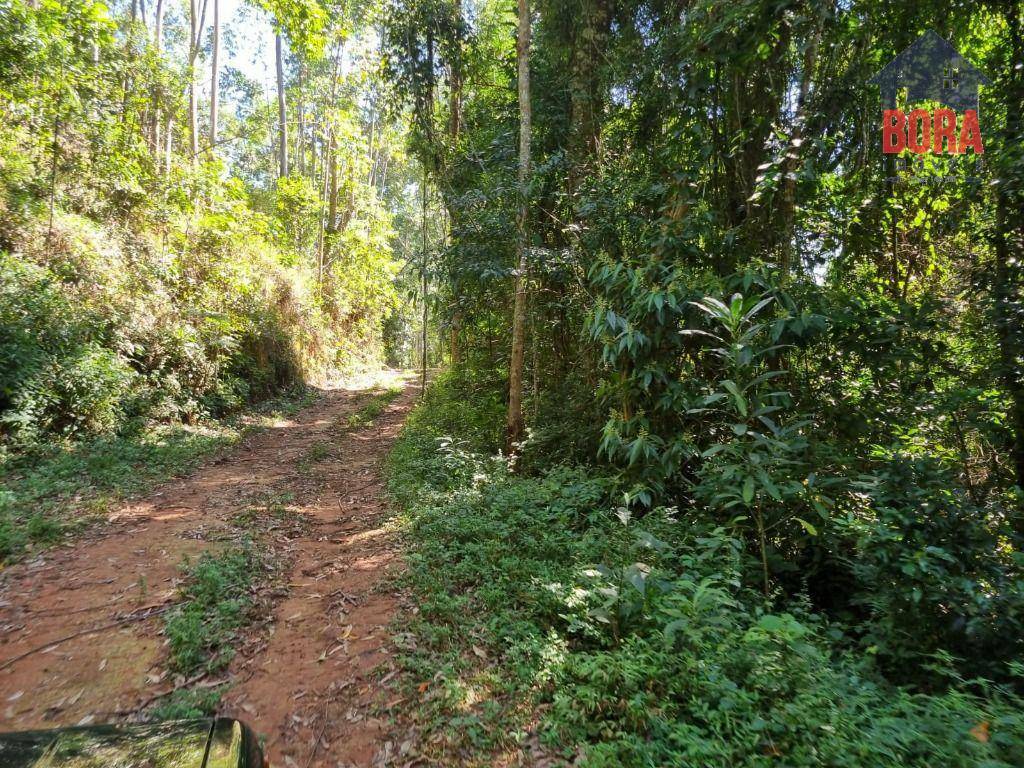 Fazenda à venda com 2 quartos, 1113200M2 - Foto 16