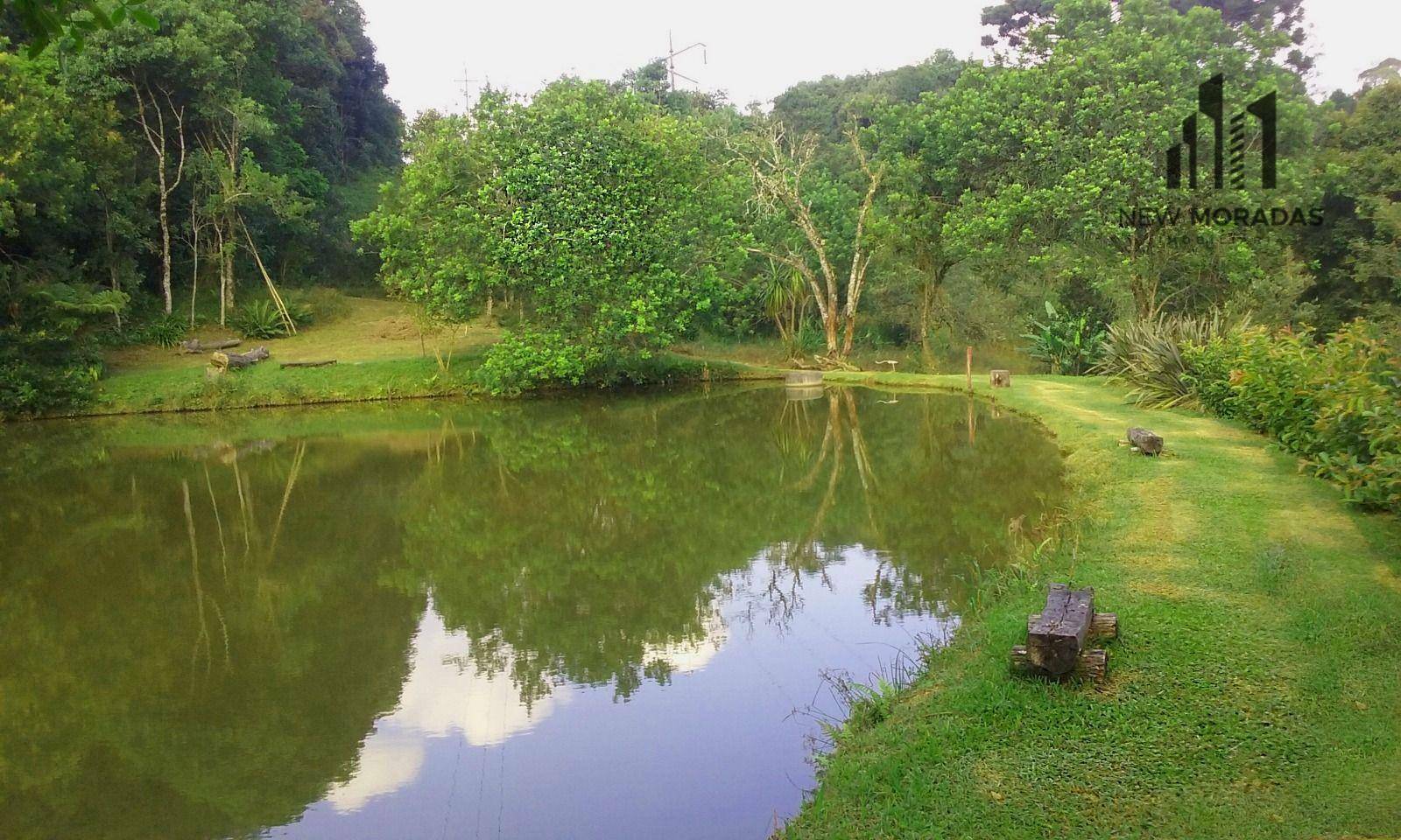 Chácara, 3 hectares - Foto 13