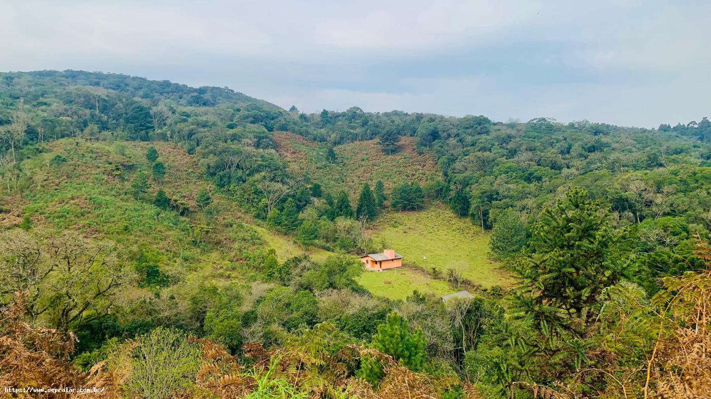 Fazenda à venda com 3 quartos, 83000m² - Foto 17