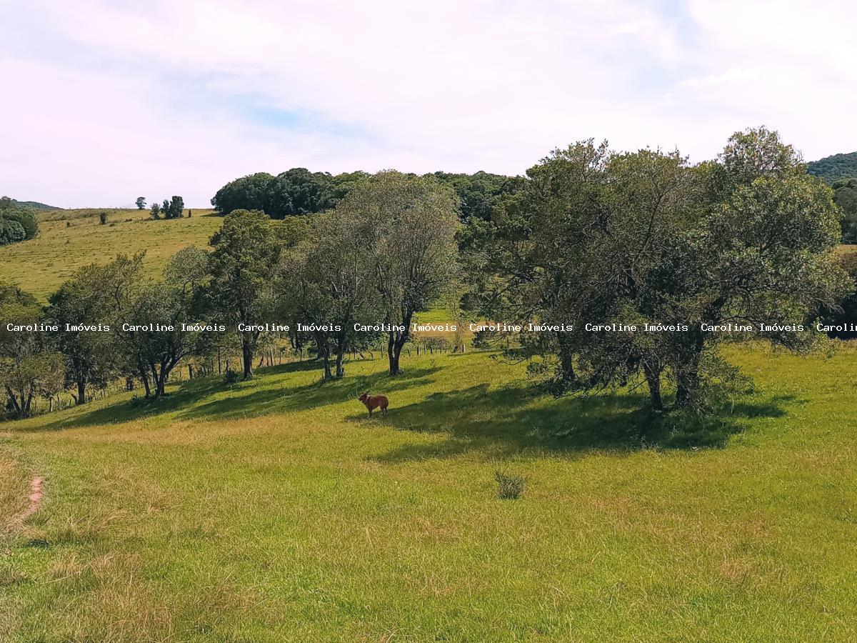 Fazenda à venda com 5 quartos, 625000m² - Foto 33