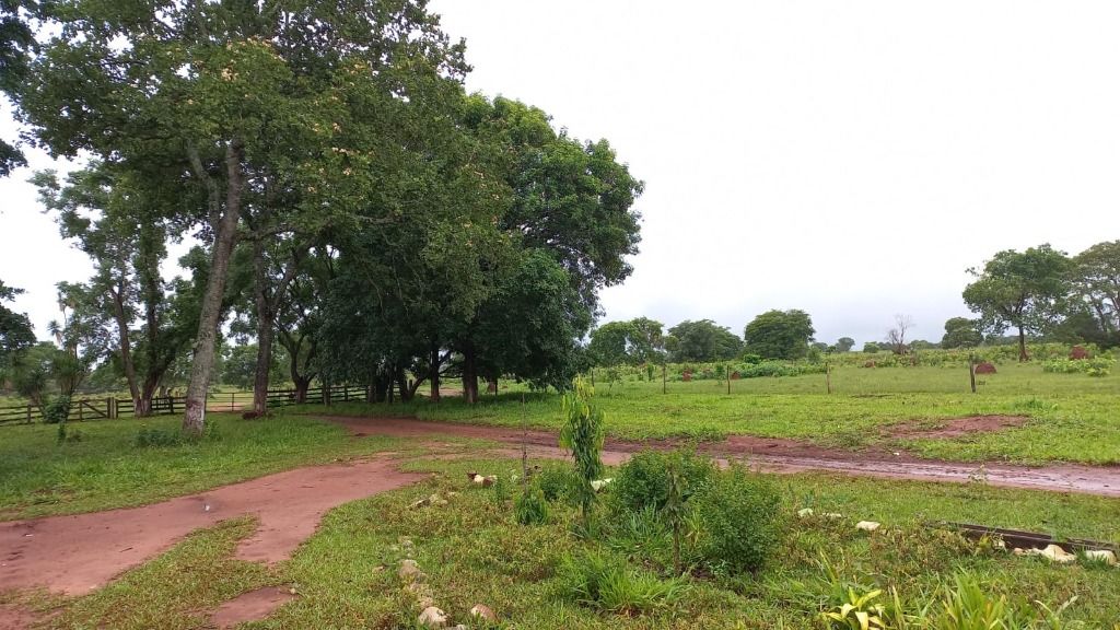 Fazenda-Sítio-Chácara, 402 hectares - Foto 1