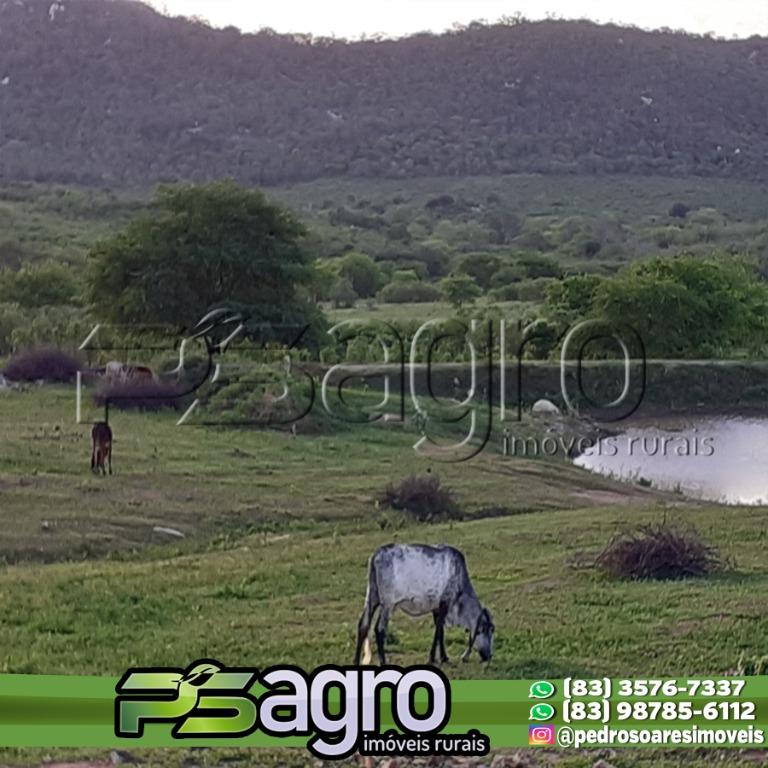 Fazenda-Sítio-Chácara, 60 hectares - Foto 4