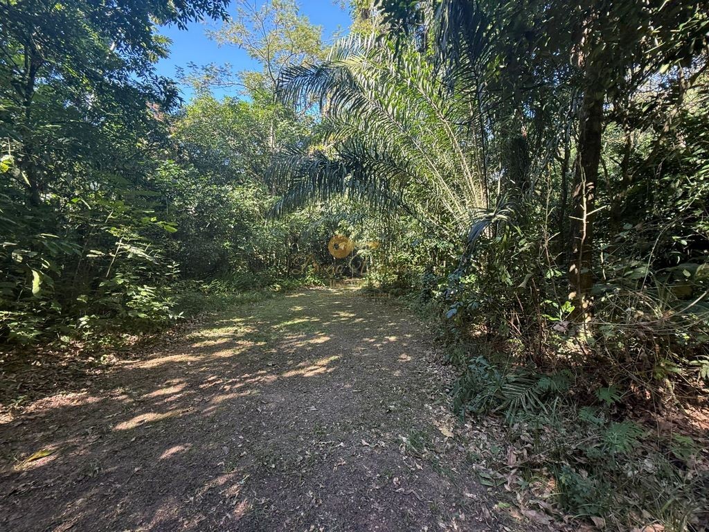 Sítio à venda, 124000m² - Foto 15