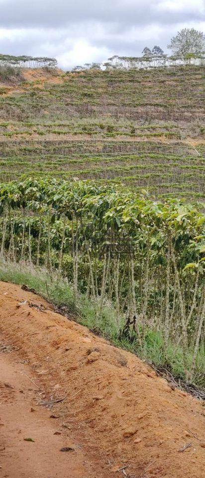 Fazenda à venda, 1452000M2 - Foto 31