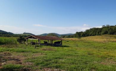 Fazenda à venda com 3 quartos, 110000m² - Foto 12