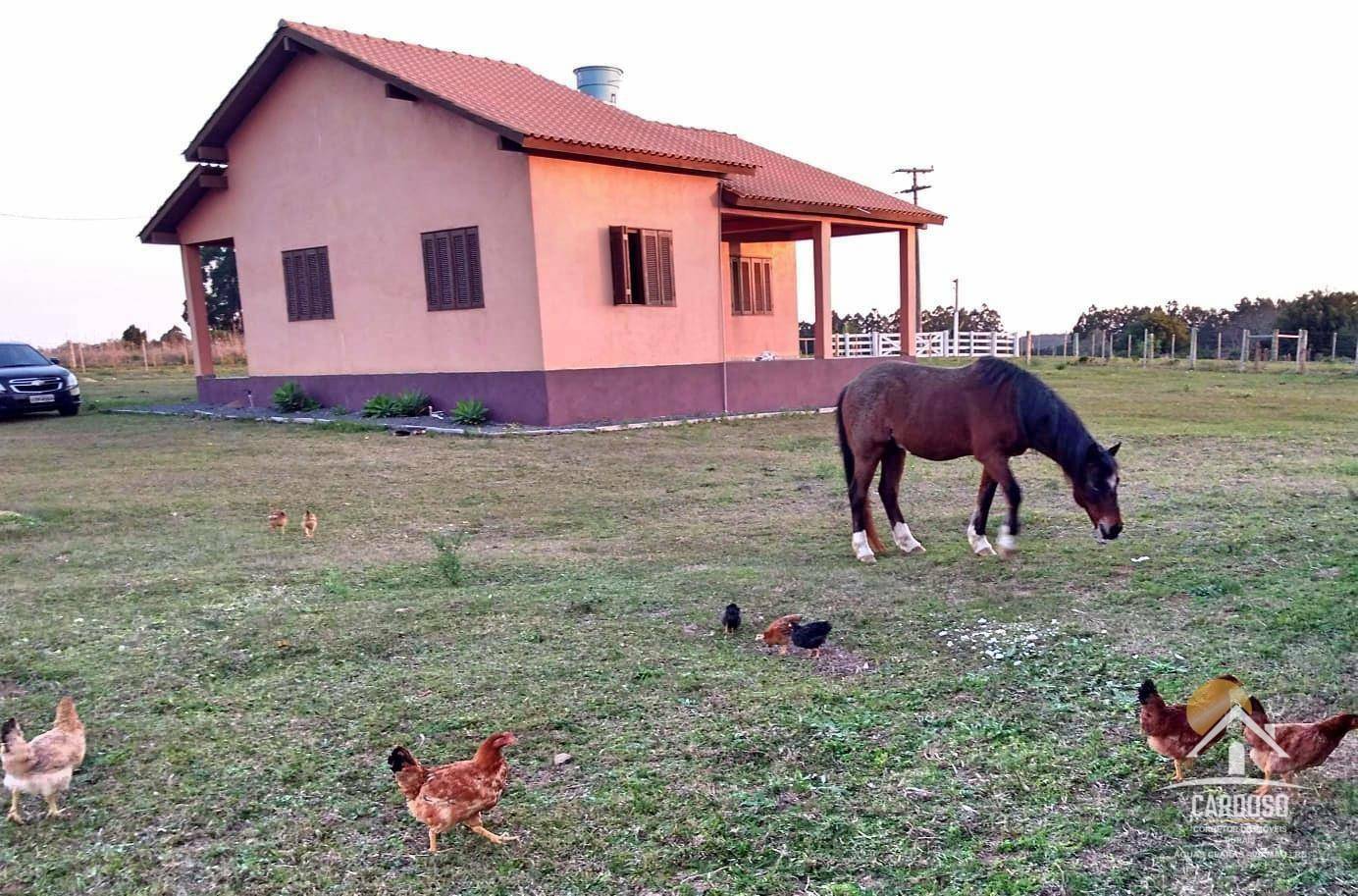 Sítio à venda com 2 quartos, 20000M2 - Foto 3