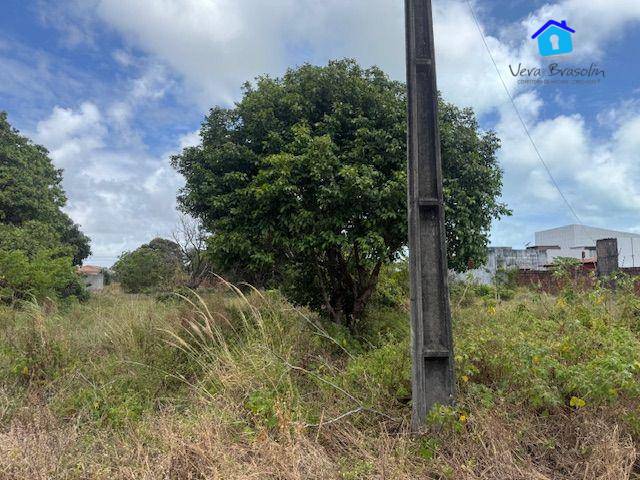 Terreno, 450 m² - Foto 15