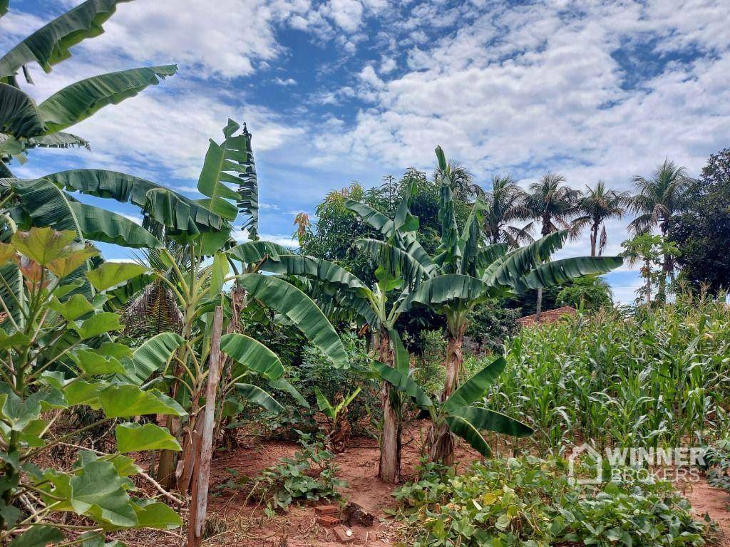 Terreno à venda, 1200M2 - Foto 18