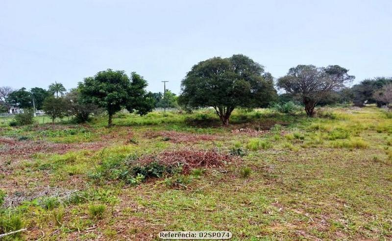 Fazenda à venda com 3 quartos, 41000m² - Foto 8