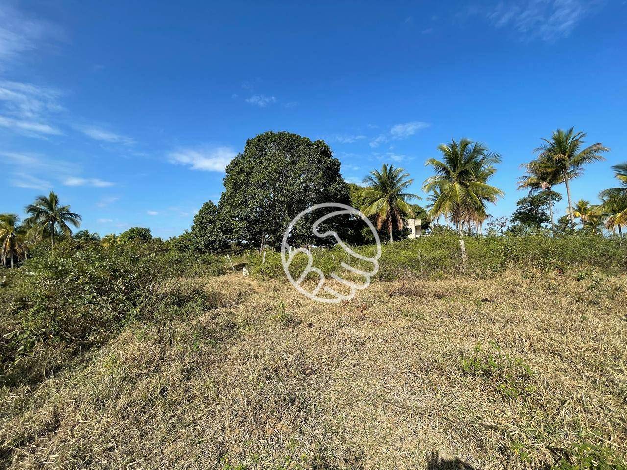 Sítio, 12 hectares - Foto 11