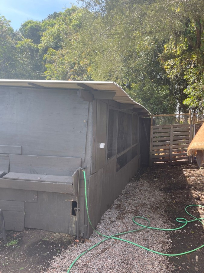 Chácara, 10000 m² - Foto 25