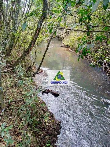 Sítio, 11 hectares - Foto 3