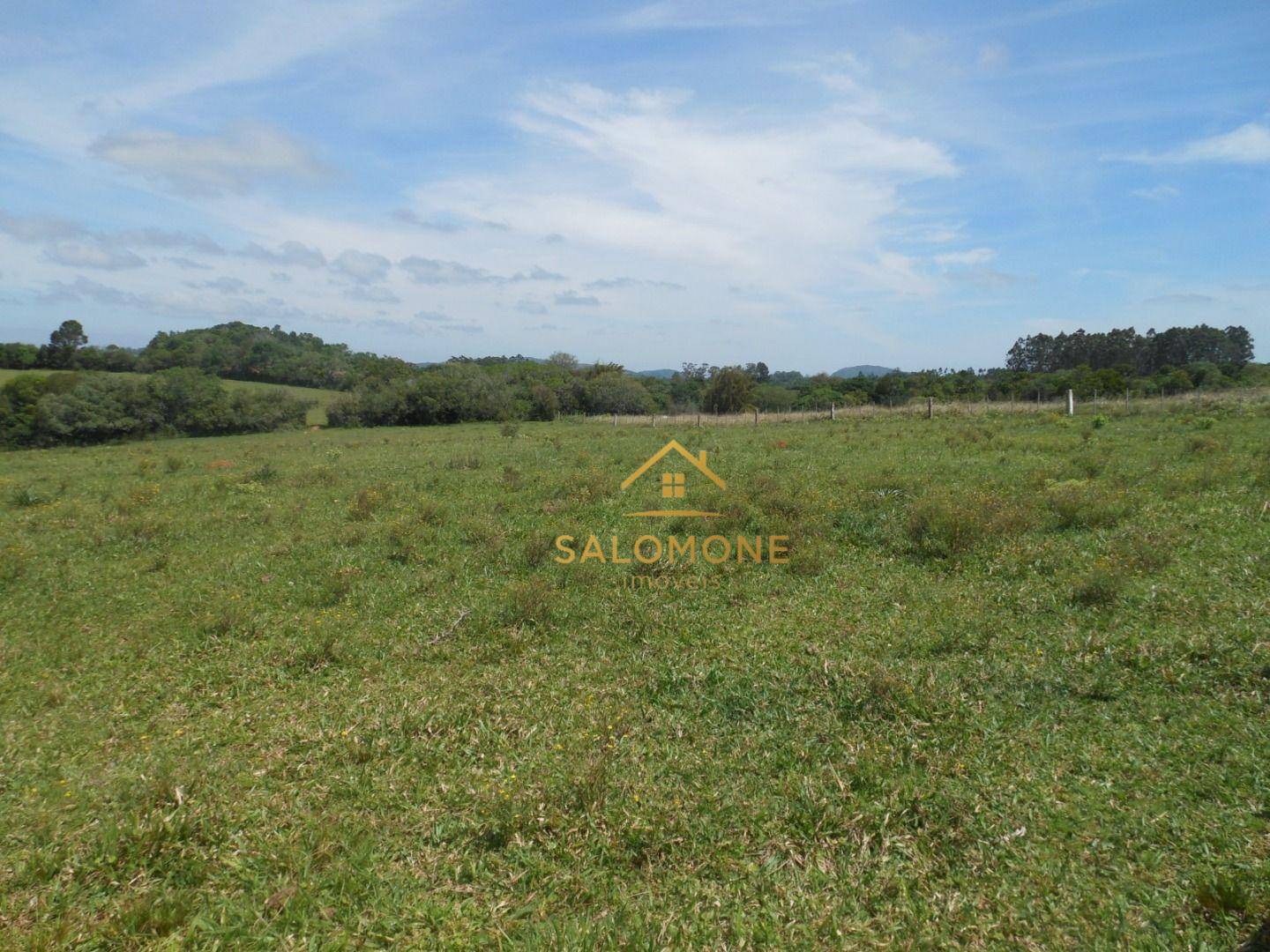 Fazenda, 100 hectares - Foto 4