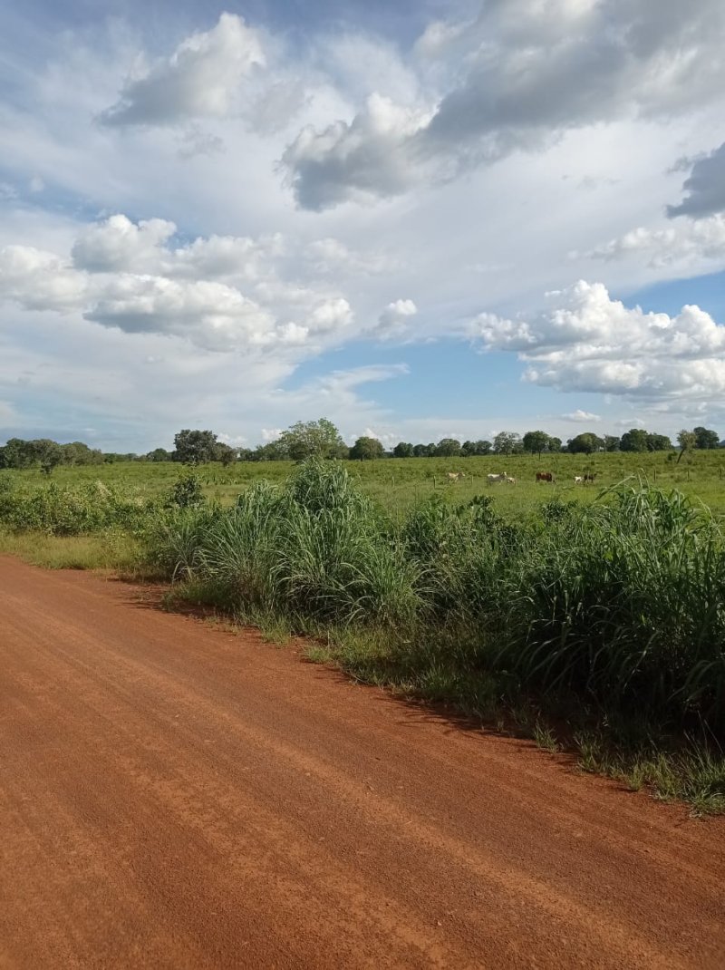 Fazenda à venda, 250m² - Foto 3