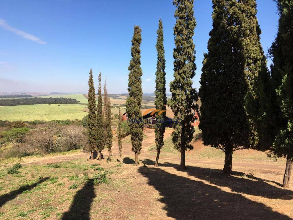 Haras e Área Rural Padrão à venda, 193600M2 - Foto 5