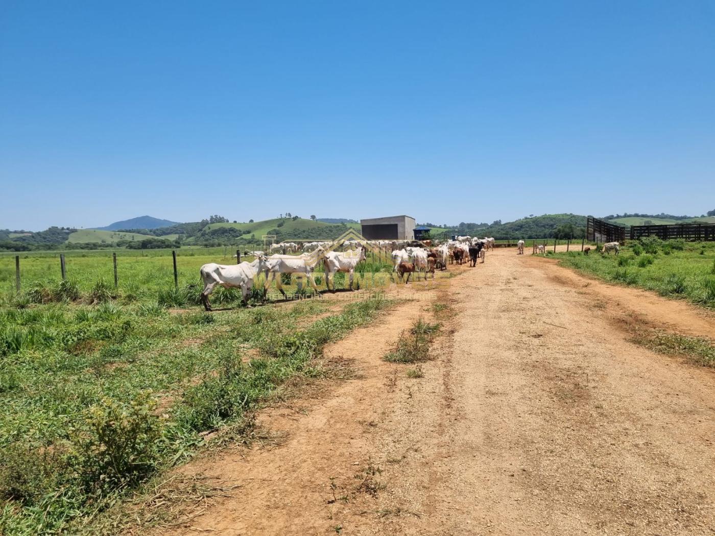 Loteamento e Condomínio à venda, 175m² - Foto 4